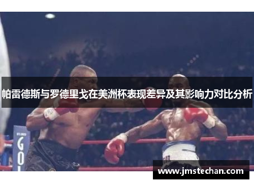 帕雷德斯与罗德里戈在美洲杯表现差异及其影响力对比分析